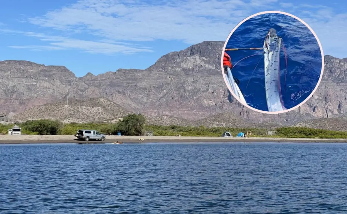 Además de ser el escenario donde apareció el extraño pez, esta playa de Baja California Sur es un bello destino turístico. Edición de foto: TBN