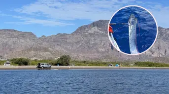 El Quemado, la playa en Loreto, Baja California Sur que se volvió viral por la aparición de un pez que vaticina temblores