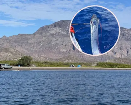 El Quemado, la playa en Loreto, Baja California Sur que se volvió viral por la aparición de un pez que vaticina temblores