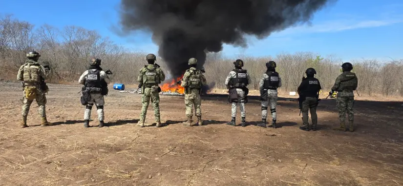 Destruyen droga incautada en Sinaloa