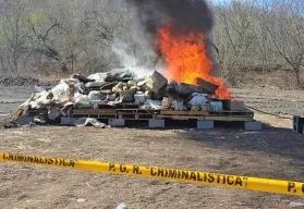 Incineran más de 2 toneladas de droga asegurada en Sinaloa