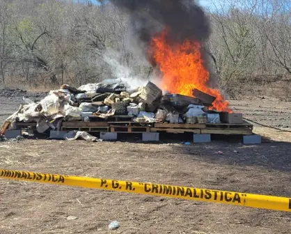 Incineran más de 2 toneladas de droga asegurada en Sinaloa