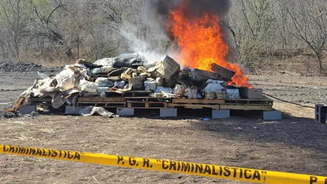Destruyen droga incautada en Sinaloa