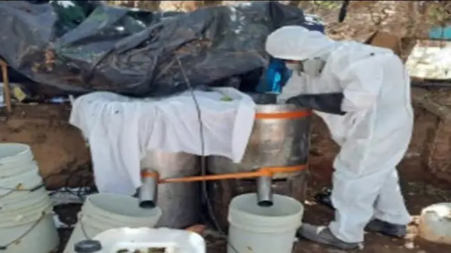 De Cosalá a Culiacán: Así operaban los narcolaboratorios desmantelados.