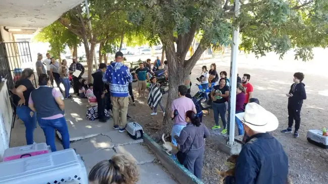 Jornada gratuita de esterilización y vacunación antirrábica para perros y gatos en El DIF Vallado en Culiacán del 24 al 27 de febrero del 2025.