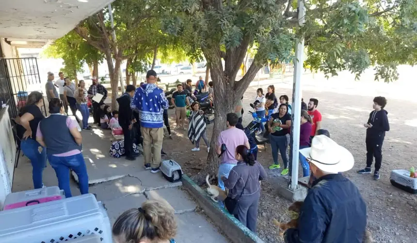 Jornada gratuita de esterilización y vacunación antirrábica para perros y gatos en El DIF Vallado en Culiacán del 24 al 27 de febrero del 2025.