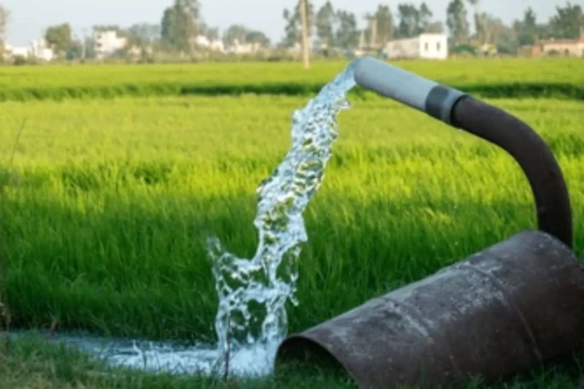 La Secretaría de Agricultura y Desarrollo Rural pide aprovechar el subsidio de energía eléctrica para el campo; el 28 de febrero cierran ventanillas.