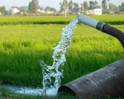 Últimos días para inscribirte al subsidio de energía para el campo; el 28 de febrero es la fecha límite