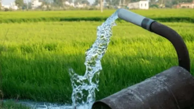 La Secretaría de Agricultura y Desarrollo Rural pide aprovechar el subsidio de energía eléctrica para el campo; el 28 de febrero cierran ventanillas.