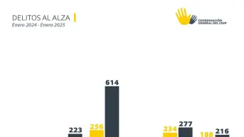 Datos clave sobre la incidencia delictiva en Sinaloa en Enero 2025