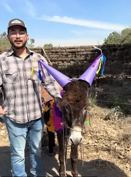 Estudiante de la  CUCBA con un burroo Foto:  soyalanlpz (TikTok)