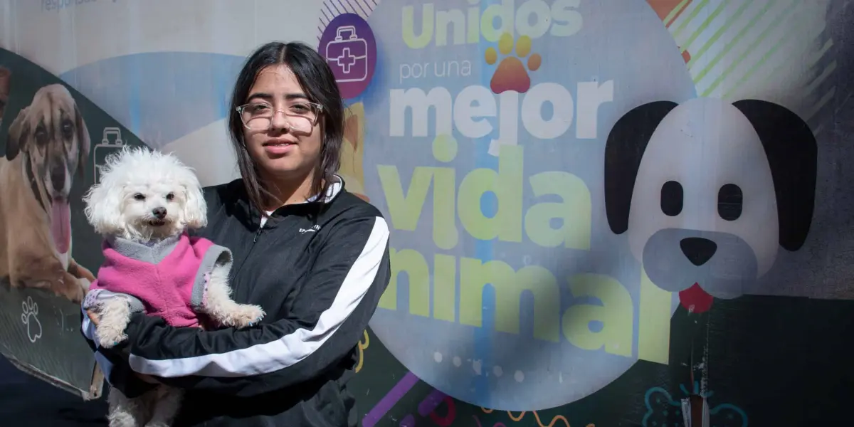 Esterilización gratuita en Culiacán es una apuesta por el bienestar animal. 