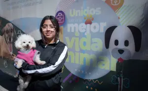 Gran éxito en el inicio de la campaña de esterilización Gratuita en Culiacán