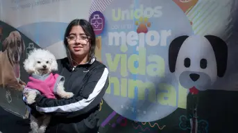 Gran éxito en el inicio de la campaña de esterilización Gratuita en Culiacán