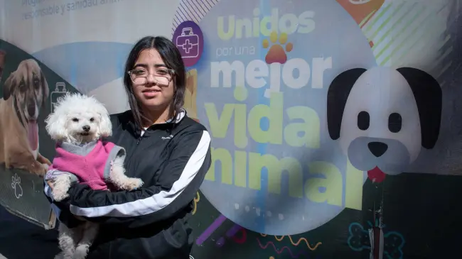 Esterilización gratuita en Culiacán es una apuesta por el bienestar animal.