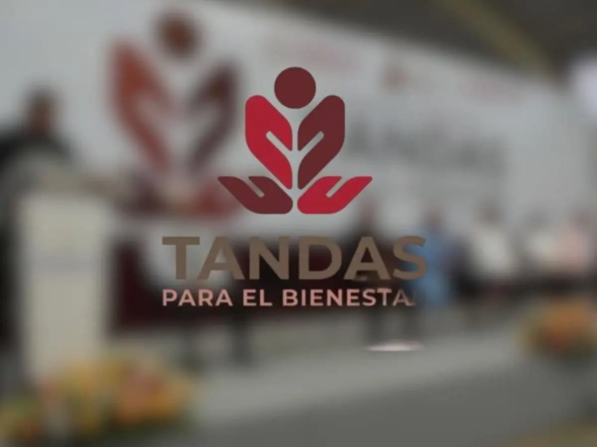 Enseñanzas del programa tandas del Bienestar