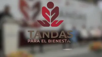 Enseñanzas del programa tandas del Bienestar