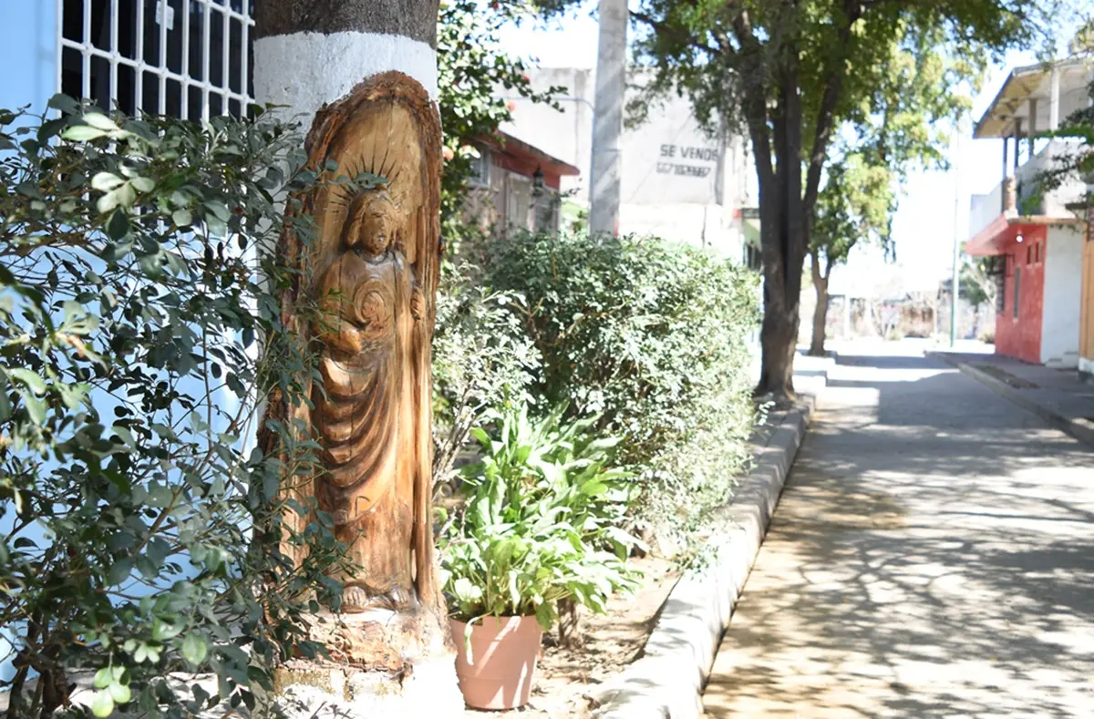 Algunos de los árboles de Barrancos tienen grabadas algunas imágenes religiosas que demuestran la fe de las familias del sector. Foto: Lino Ceballos