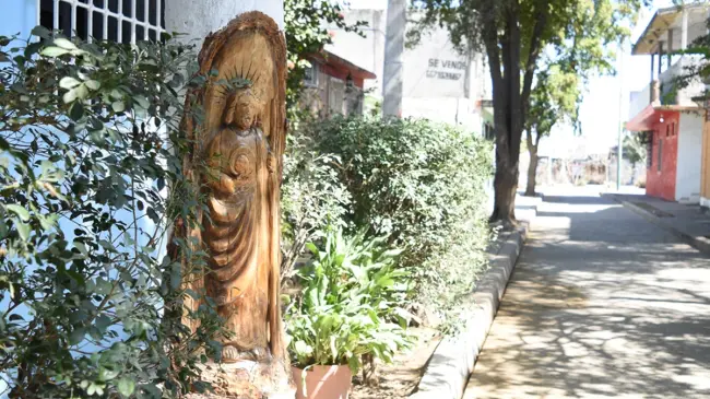 Algunos de los árboles de Barrancos tienen grabadas algunas imágenes religiosas que demuestran la fe de las familias del sector. Foto: Lino Ceballos