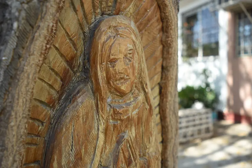 Virgen de Guadalupe tallada en un árbol 