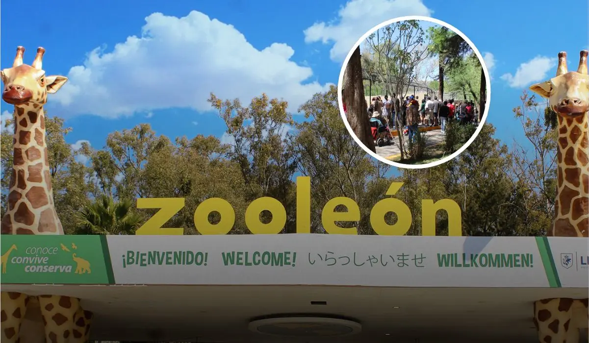 Este es el Zoológico de León que debes conocer. Foto: Zoológico de León.