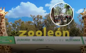 ¿Planeas ir al Zoológico de León? Esto es lo que debes saber antes de tu visita