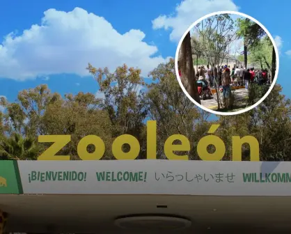 ¿Planeas ir al Zoológico de León? Esto es lo que debes saber antes de tu visita