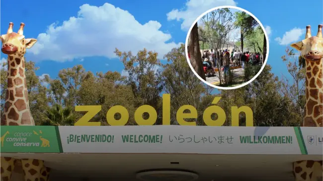 Este es el Zoológico de León que debes conocer. Foto: Zoológico de León.