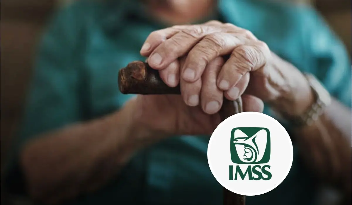De esta manera puedes tramitar tu pensión digital IMSS. Foto: iStock.