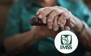 Guía completa para tramitar tu pensión digital en el IMSS