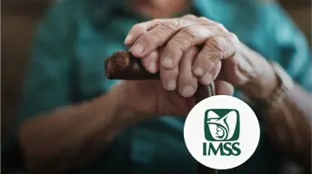 Guía completa para tramitar tu pensión digital en el IMSS