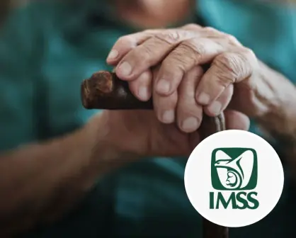 Guía completa para tramitar tu pensión digital en el IMSS