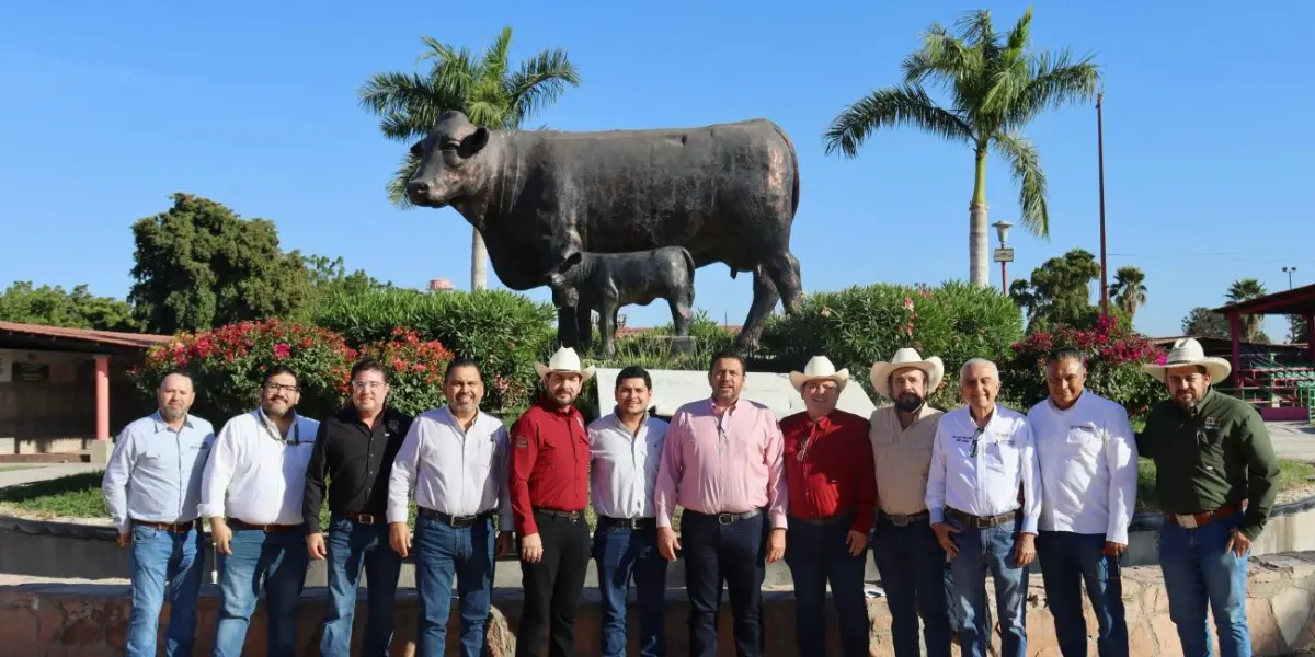 Ganaderos de Sinaloa buscan apoyo para el ganado ante sequía