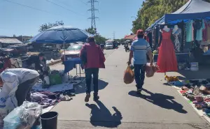 Desde frutas frescas hasta electrónicos, el tianguis Laureles Pinos es el destino ideal para quienes buscan ahorrar en Culiacán