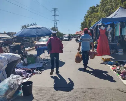 Desde frutas frescas hasta electrónicos, el tianguis Laureles Pinos es el destino ideal para quienes buscan ahorrar en Culiacán