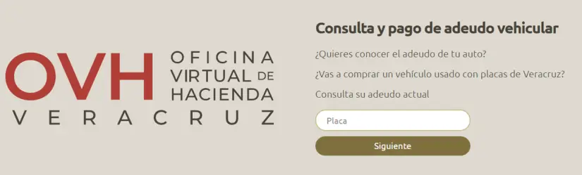 Interfaz de consultas de adeudos vehiculares Foto: Captura de pantalla