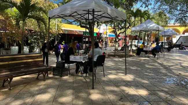 El programa “Renace por Amor a Ti” continúa brindando atención médica y psicológica gratuita todos los sábados de 9:00 a.m. a 2:00 p.m. en la Plazuela Álvaro Obregón, con el propósito de reducir los tiempos de espera y ampliar el apoyo a más personas de la comunidad.