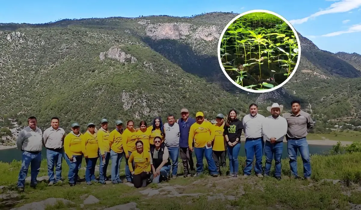 Buenas acciones para la restauración de los sistemas forestales