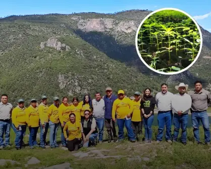 ¿Porqué es importante la restauración de sistemas forestales?