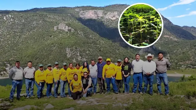Buenas acciones para la restauración de los sistemas forestales