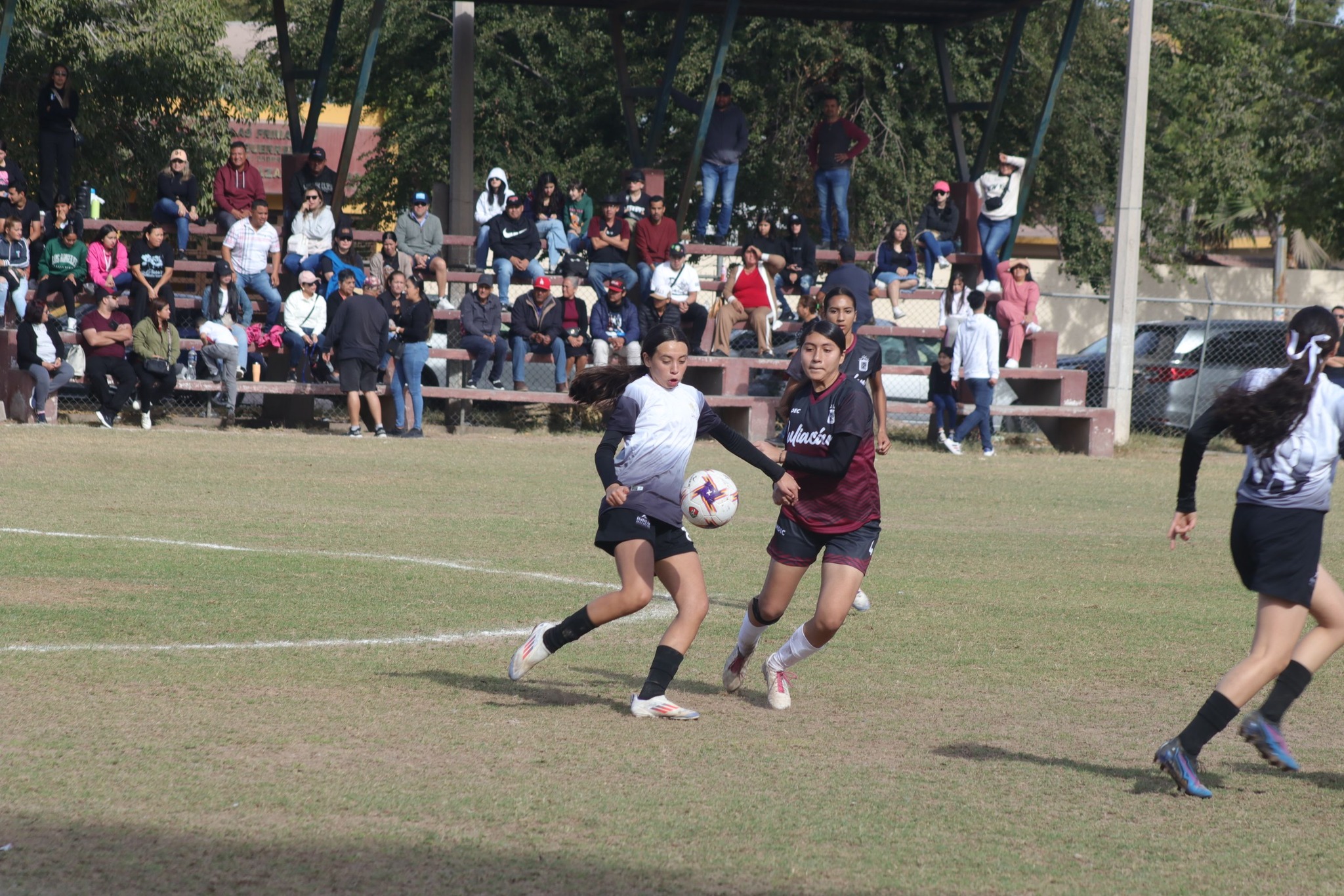 Imagen 9