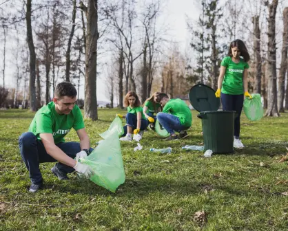 Tú puedes ser ecológico, es fácil