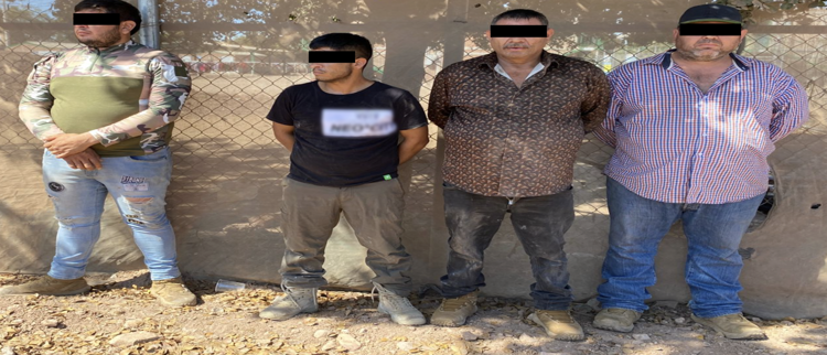 Semana de Intensos Operativos en Sinaloa: Desmantelan Laboratorios, Retiran Cámaras Ilegales y Aseguran Toneladas de Drogas