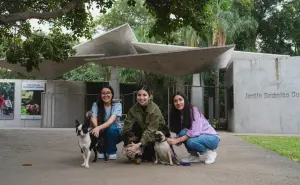 El Jardín Botánico Culiacán abre sus puertas a los perros: conoce los requisitos