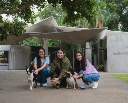 El Jardín Botánico Culiacán abre sus puertas a los perros: conoce los requisitos