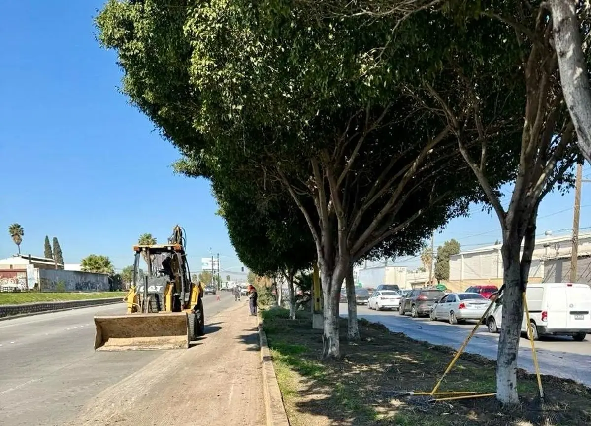 Gobierno de Tijuana intensifica limpieza en la ciudad.