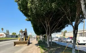 Tijuana refuerza limpieza urbana: más de 12 toneladas de residuos recolectados