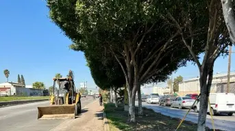 Tijuana refuerza limpieza urbana: más de 12 toneladas de residuos recolectados