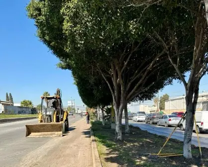 Tijuana refuerza limpieza urbana: más de 12 toneladas de residuos recolectados