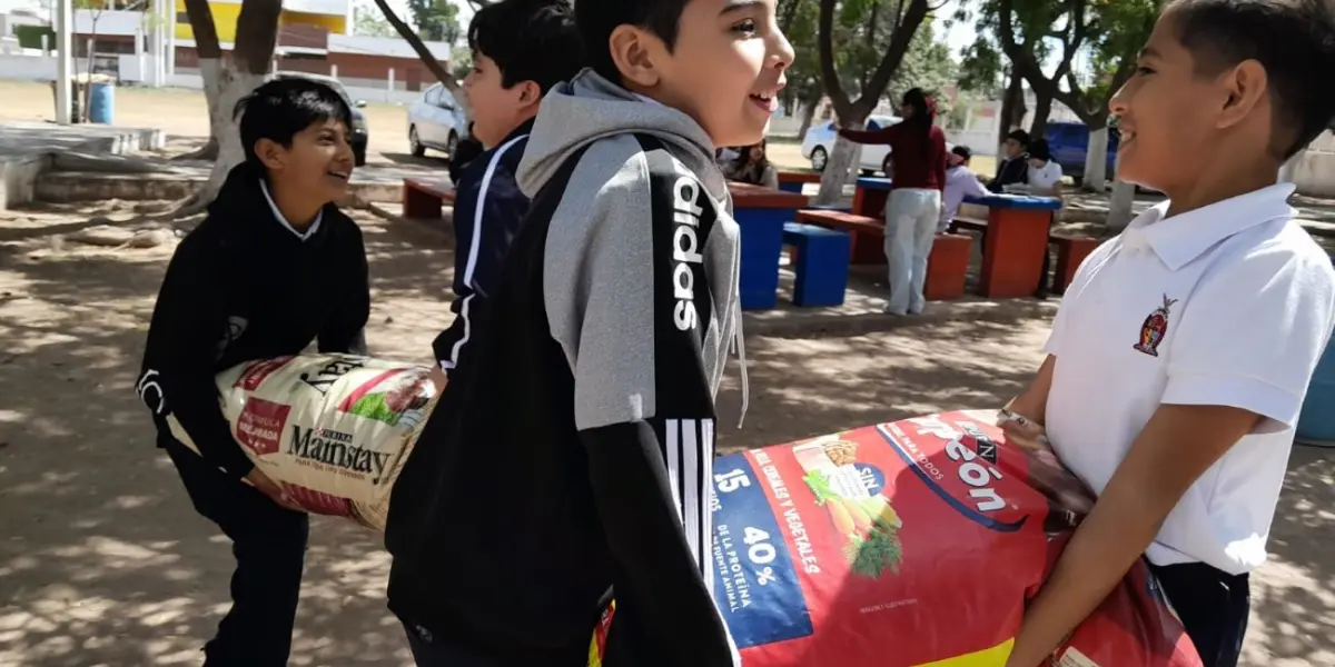 Niños aprenden empatía y respeto a los animales con colecta de alimento a perros de calle